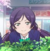 shrub