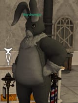 ffxiv_08102025_104950_907