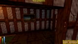 daggerfallunity.exe Screenshot 2025.08.10 - 19.30.12.25