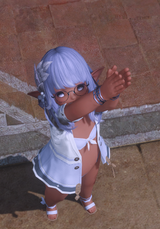 ffxiv_dx11_B3aVFb_10-08-202556