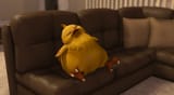 eepy