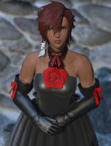 Highlander dress knights