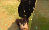 xally toe sucking