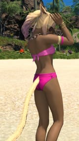 ffxiv_08102025_133010_829