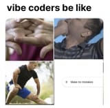 Vibecoders