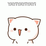 YaaaaY