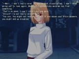Tsukihime 555 Bear