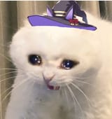 i fuckign hate green peppers