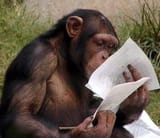 monke