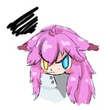 aimidoodle