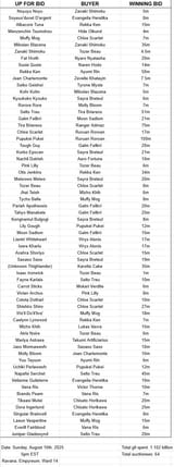 FFXIV_Auction_Aug8_2025