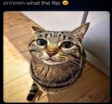 1731104469809818