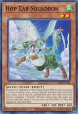 HopEarSquadron-MP20-EN-C-1E