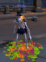 newly crowned level 80