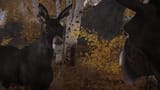 enb2025_8_10_23_27_05