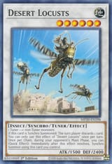 DesertLocusts-MP20-EN-C-1E
