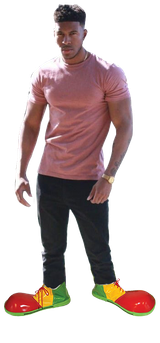 1733301053091301