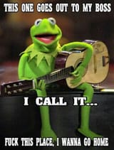 90f5917f52de18719a848474082a4417--funny-kermit-memes-funny-server-memes