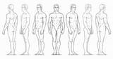 MaleFigure