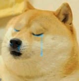 doge-crying