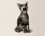 deftones-screaming-gato (1)