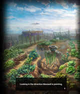 farm