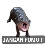 fomo