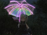 image_2025-08-11_062132352