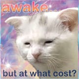 gn