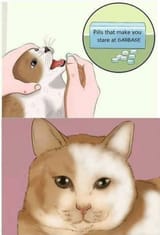 1534256985504