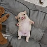 FXtgupeUEAcJBLO