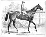 Kincsem_1878