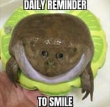 1742517207835599