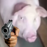 1739675313764162