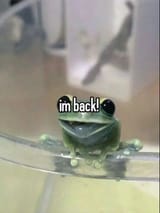 1733492344383783