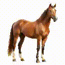 brandbird