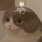 1735743331351146
