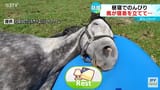 slep