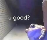 1726774440688842