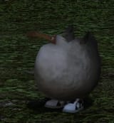 ffxiv_dx11_zMdzRIGbGA