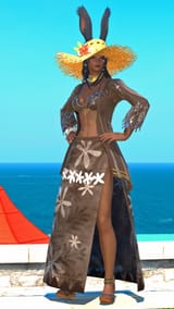 ffxiv_08112025_151552_859