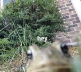 1749455054047538