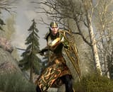 Galadhrim Warden