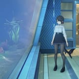 ellen - aquarium