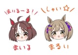 choosems