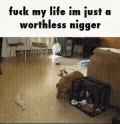 fuckmyniggerlife_thumb.jpg