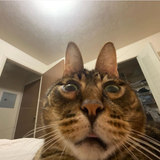 1675124750441745