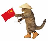 cat-chinese-768x669