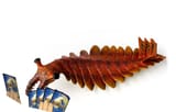 Duel Masters_Anomalocaris
