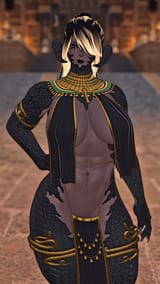 ffxiv_dx11_2025-08-11_20-17-47